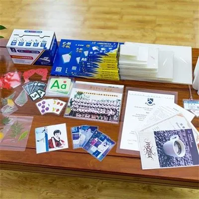 Nom belgisi laminatlangan sumkalar